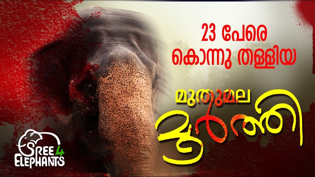 മനുഷ്യ രക്തത്തിൽ കുളിച്ച ആനറിപ്പർ | Blood-curdling story of Muthumala Moorthy that killed 23 people
