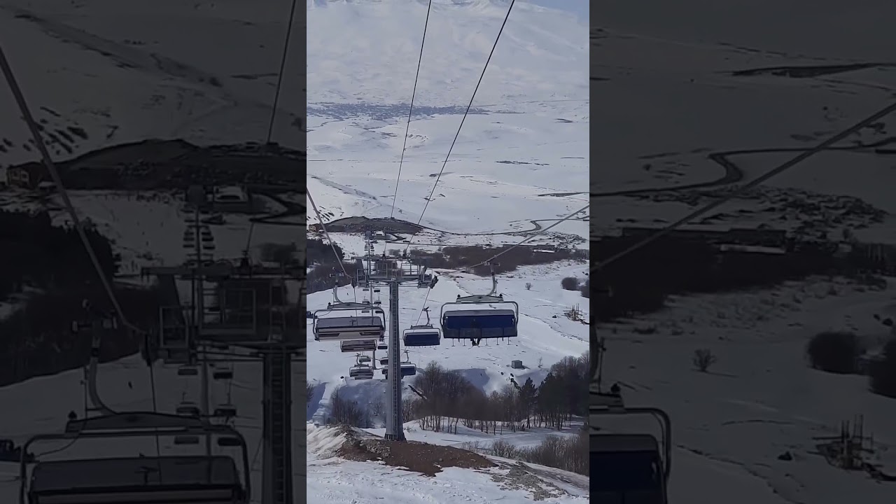 Եղիպատրուշ