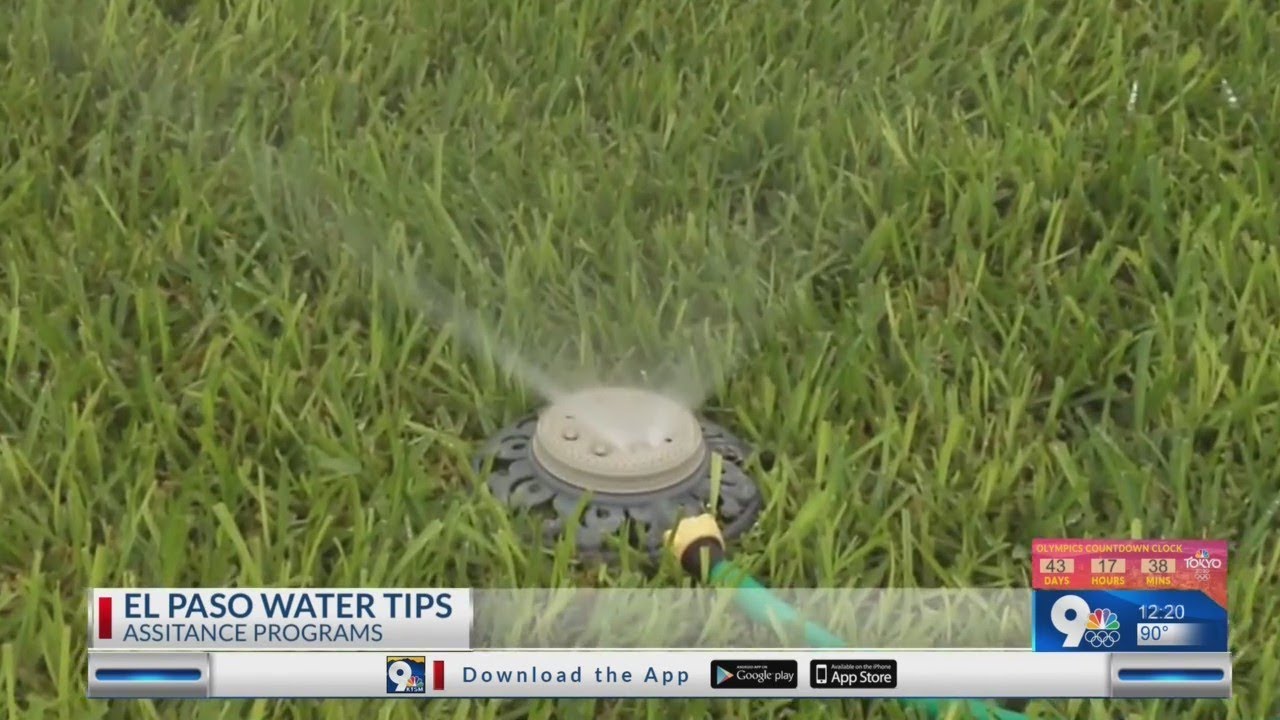 Water Tip Wednesday: Ways to save on your bill