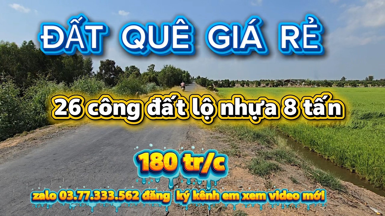 Bán  26 công đất lúa  lộ nhựa 8 tấn  tại thạnh hóa long an 65x400  giá  180 tr/c