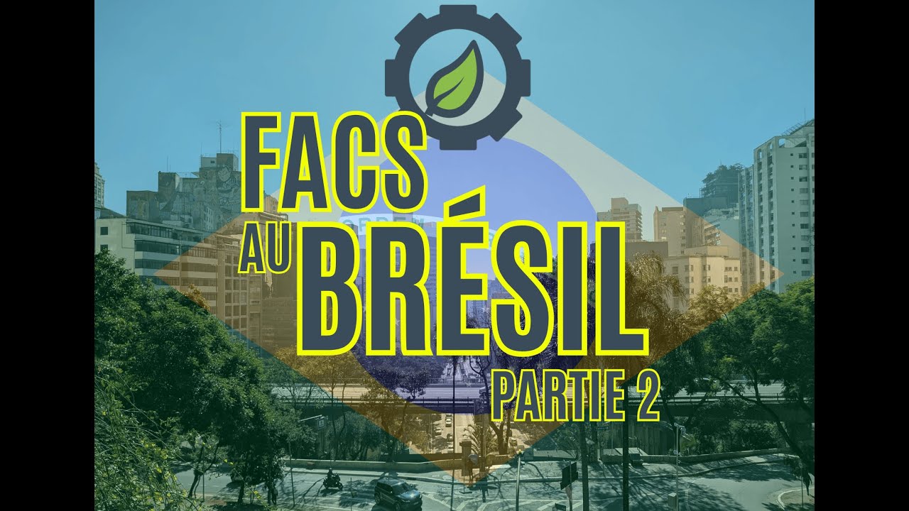 FACS automotive au Brésil 2/3