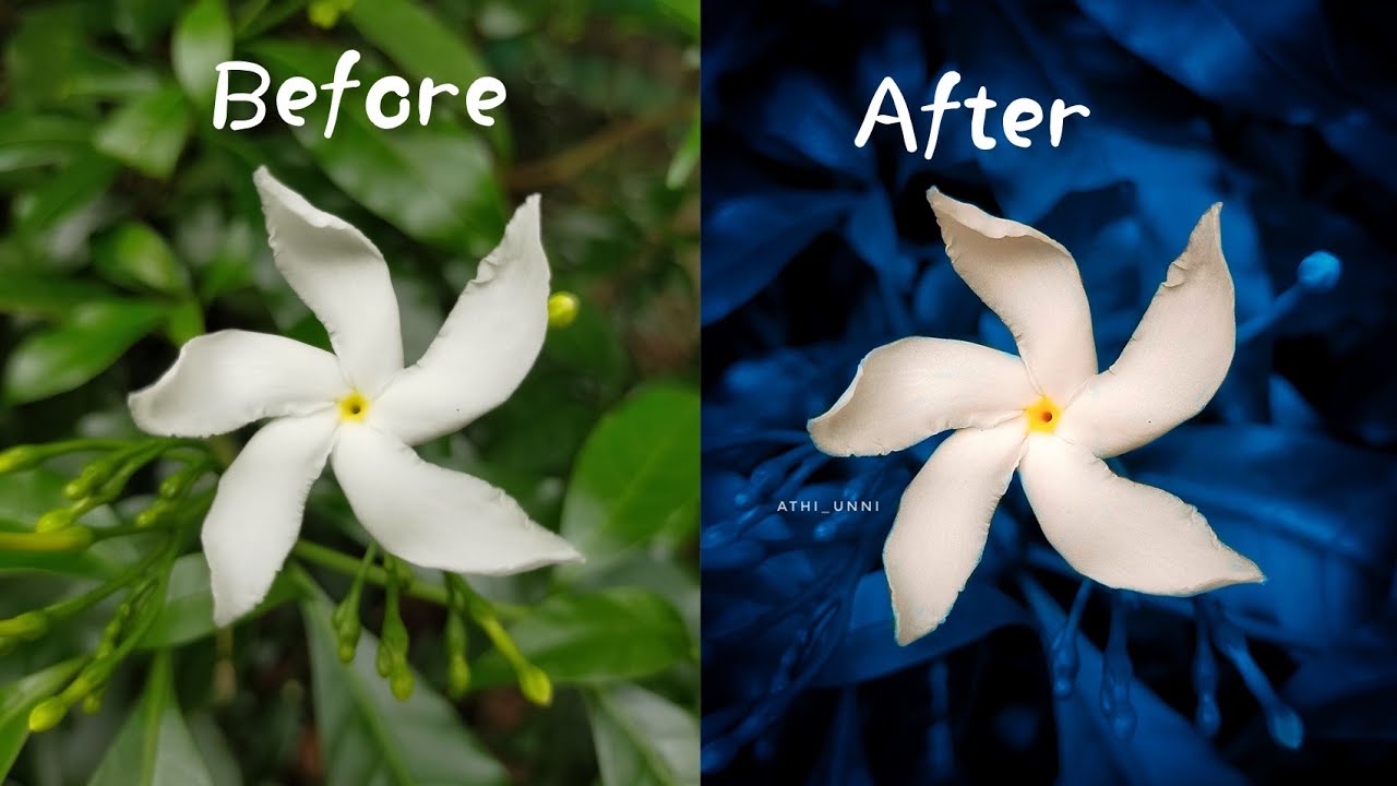 Background change using snapseed application for beginners 💓📱💓