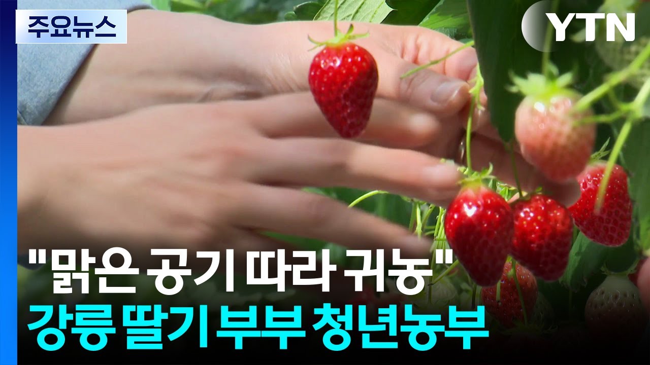 [청년농부] 