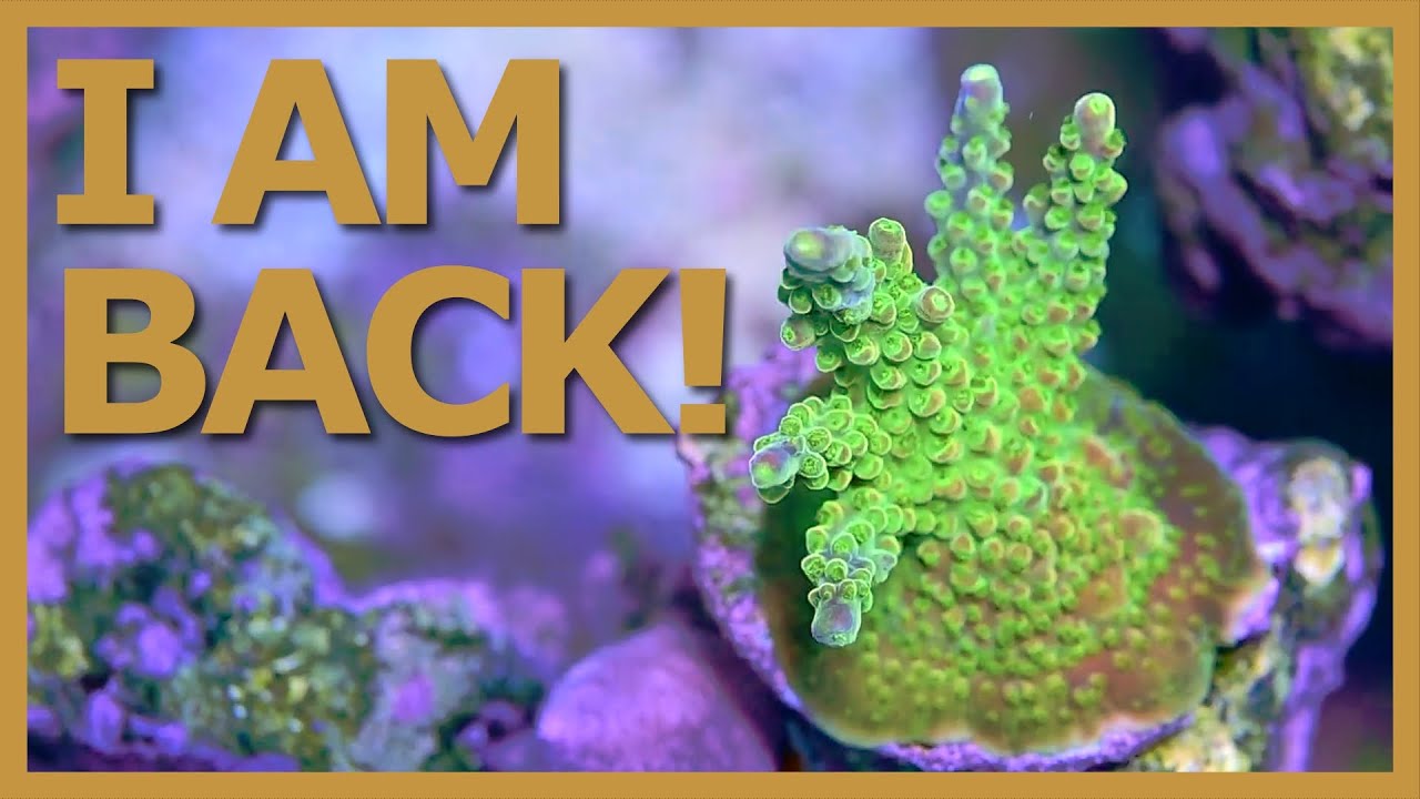 I am back!