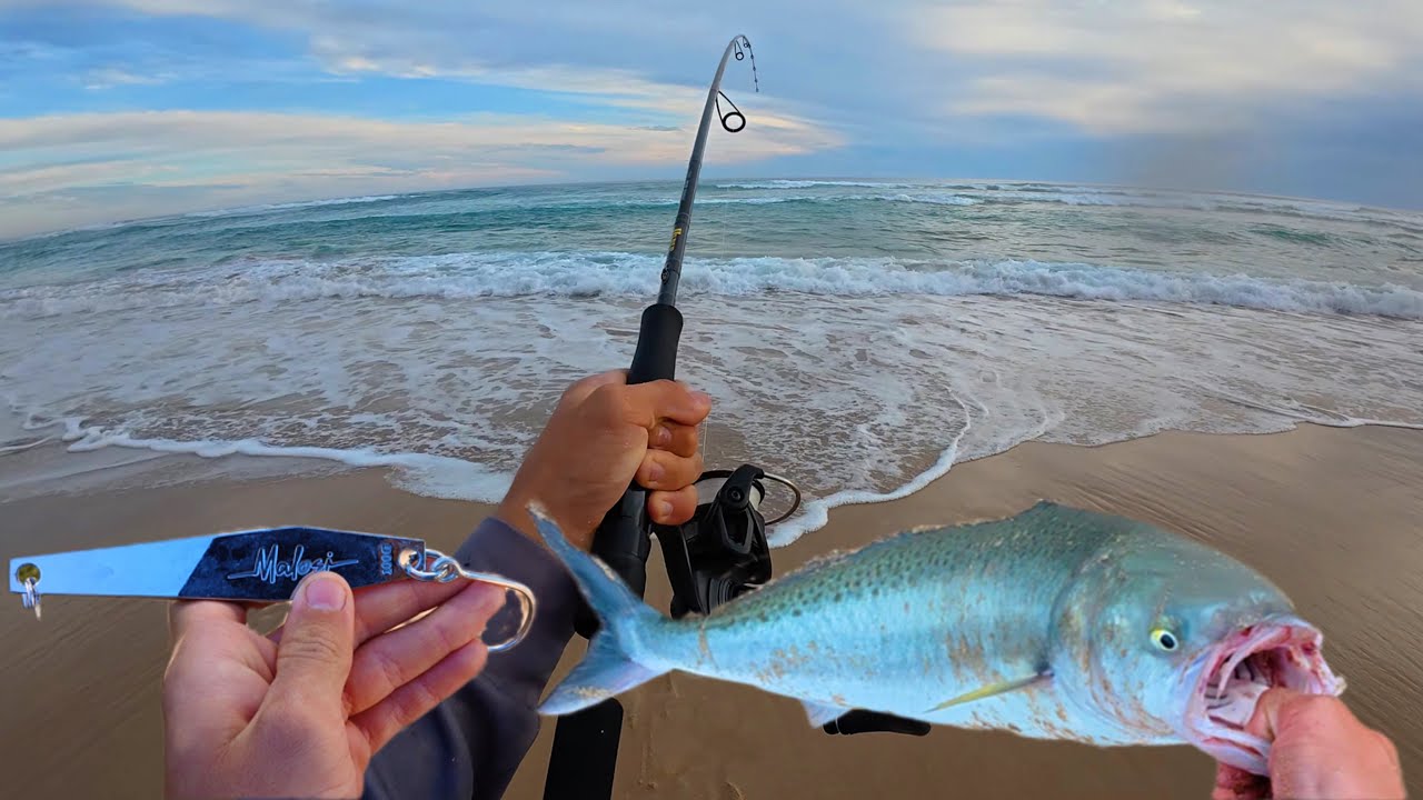 This Beach Is Known For Its GIANT Australian Salmon | Locks Well South Australia