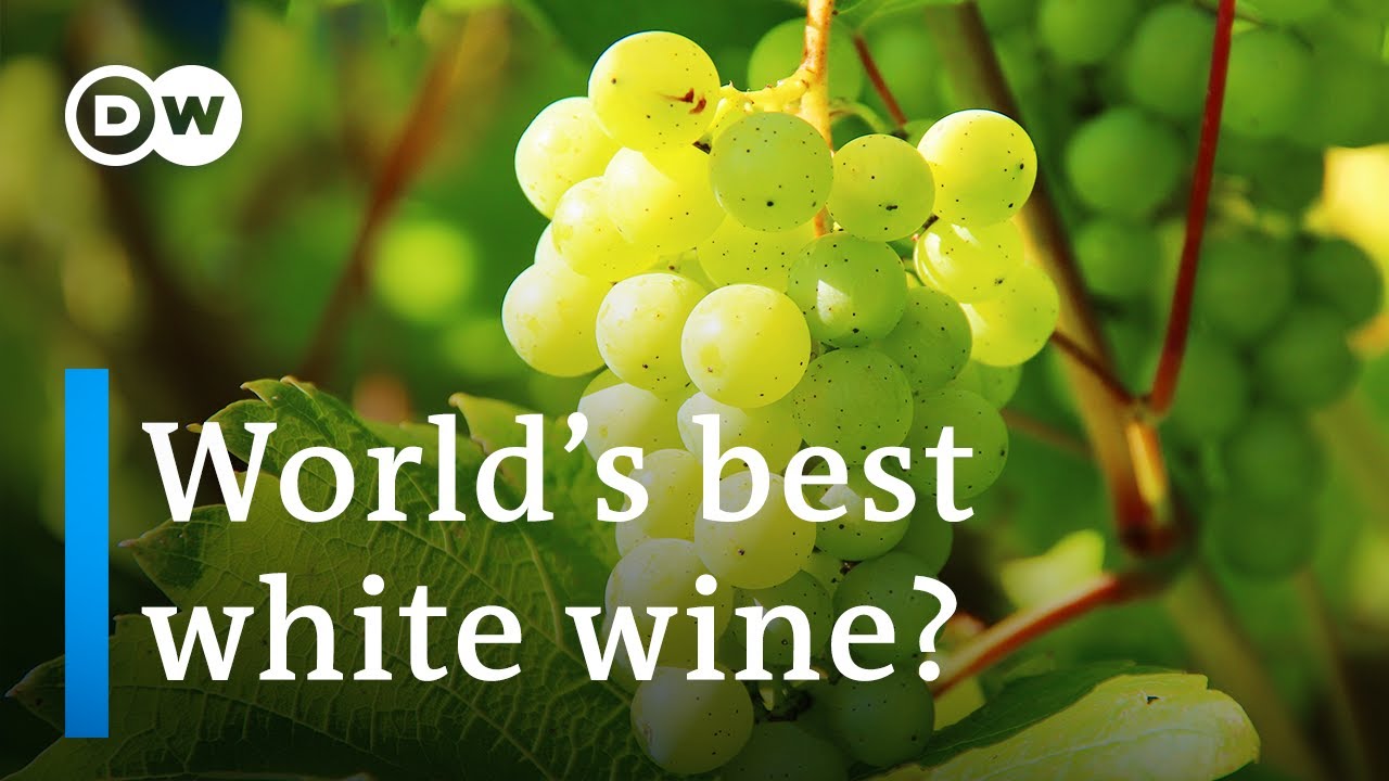 Former Wall Street Banker Creates One of the World's Best White Wines | DW Euromaxx