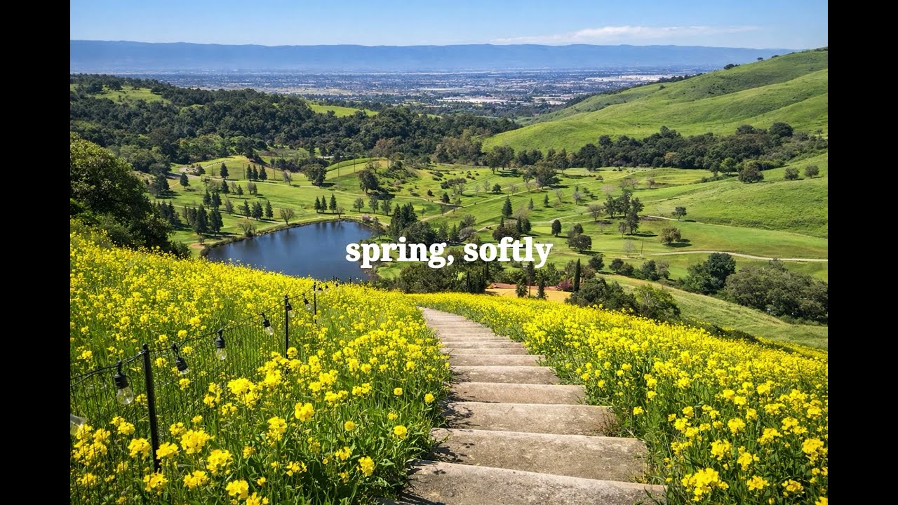 spring, softly 🌿 relaxing piano music for studying, reading, and quiet mornings
