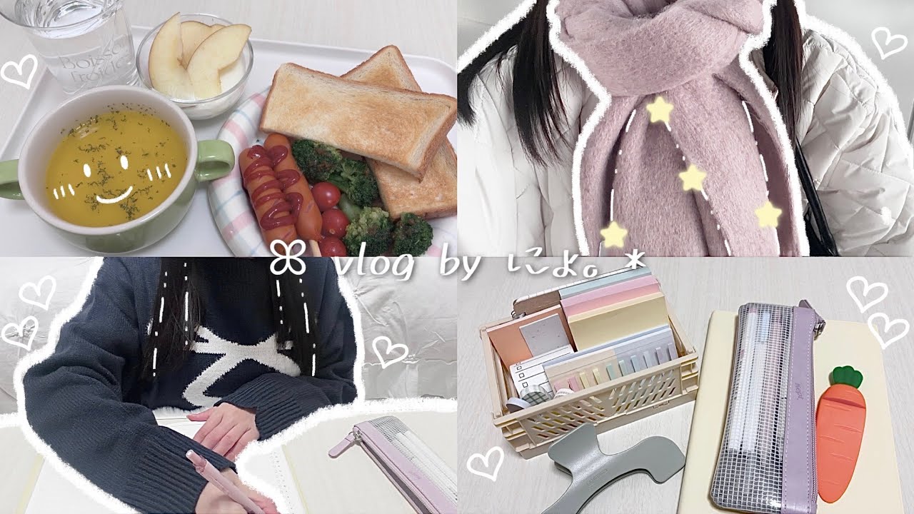 vlog ꒰ いちごｽｲｰﾂ🍓 ¦ 2026年の抱負とWish List ᝰ✍🏻꙳⟡ ꒱