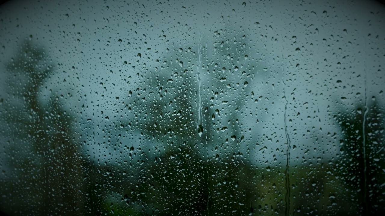 "eldest daughter" by Taylor Swift (reverb + rain +muffled audio)