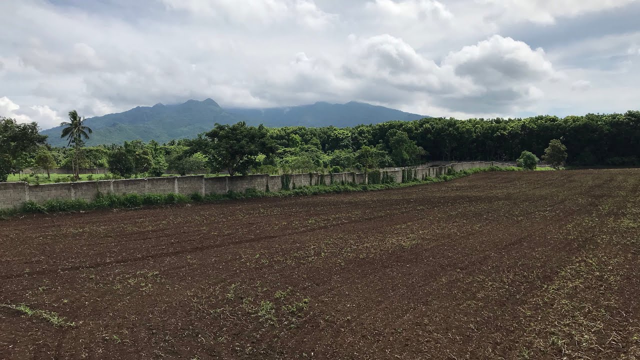 Vlog313: 5 HECTARE FARM LOT OVERLOOKING THE MOUNTAIN FOR SALE IN LIPA CITY BATANGAS PHILIPPINES