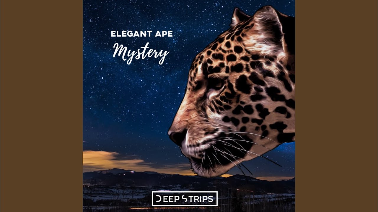 Mystery (Original Mix)