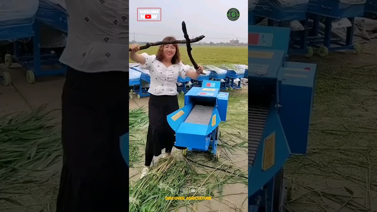 Best Chaff Cutter Machine