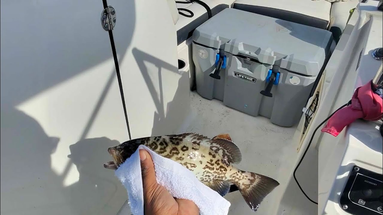 Bottom Fishing  the skyway bridge