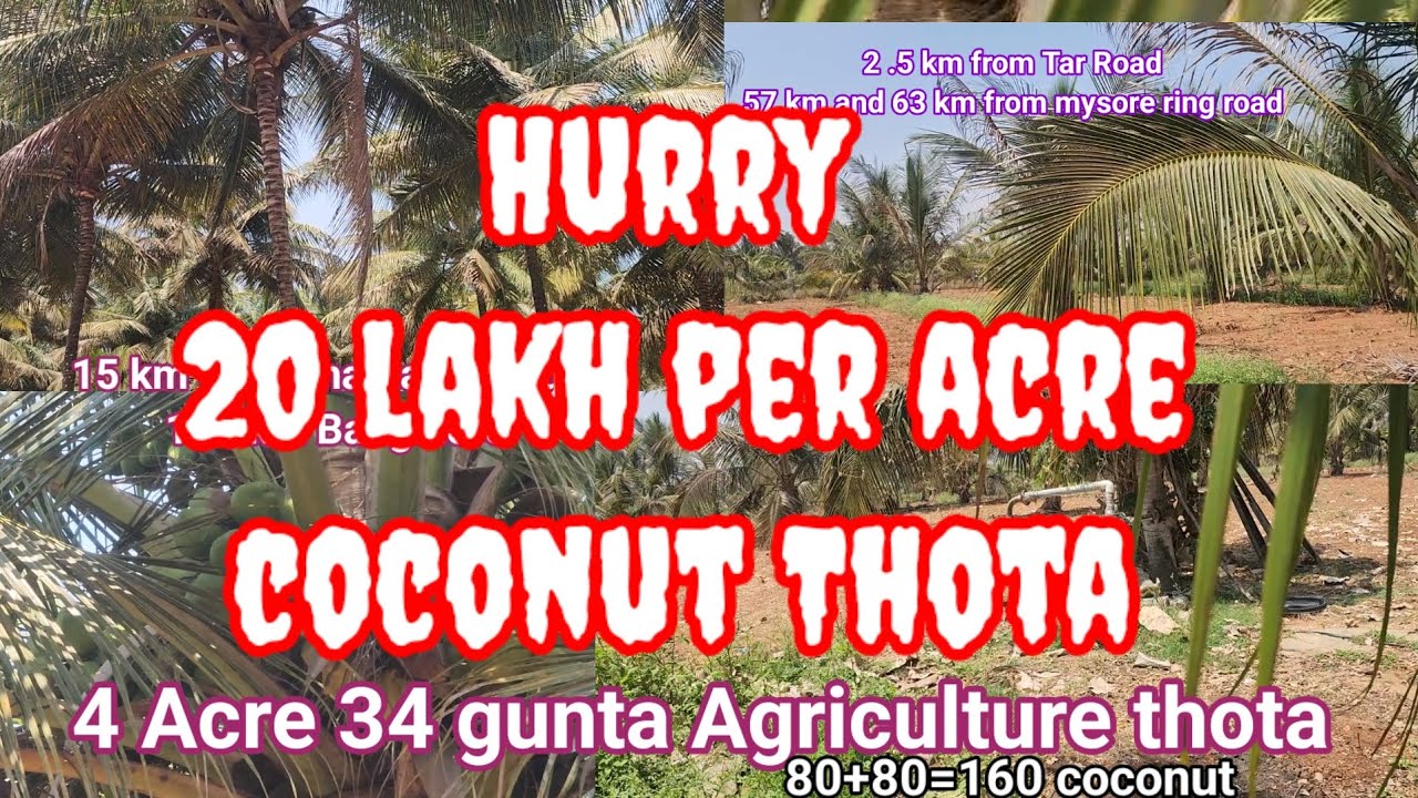 #Soldout coconut thota for sale 4 acre 34 gunta 160 coconut super water belt area