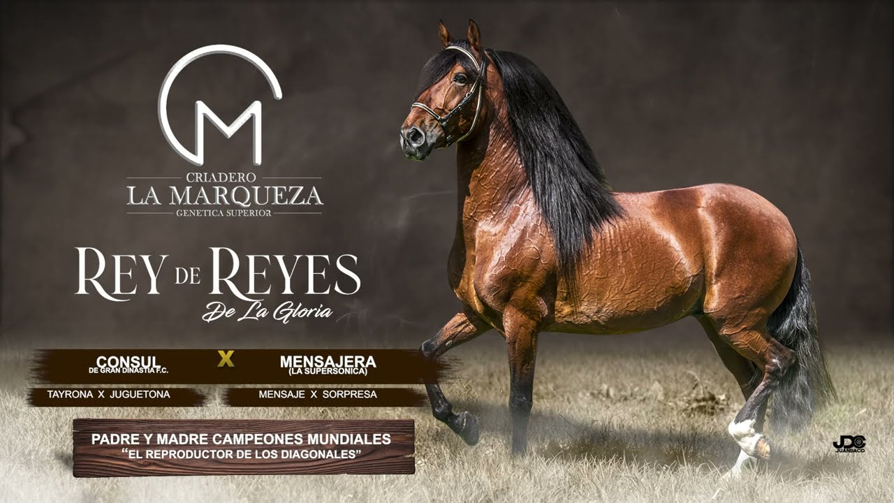 REY DE REYES HIJOS