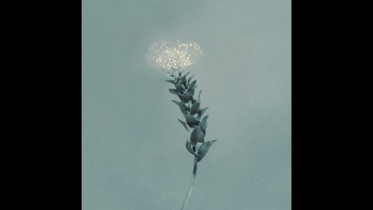 씨엔블루 (CNBLUE) - 그러나 꽃이었다 (Still, a Flower) Instrumental