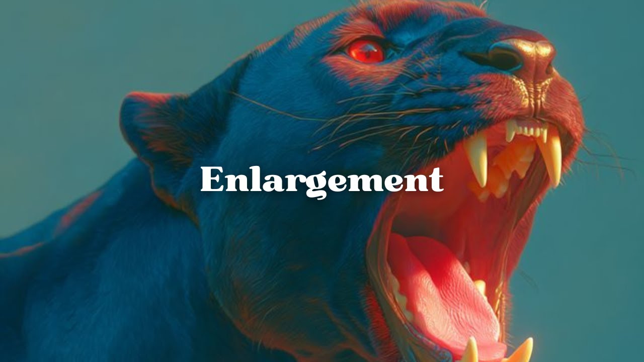 Quick Penis Enlargement