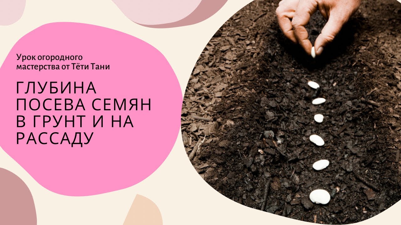 Глубина посева семян в грунт и на рассаду.