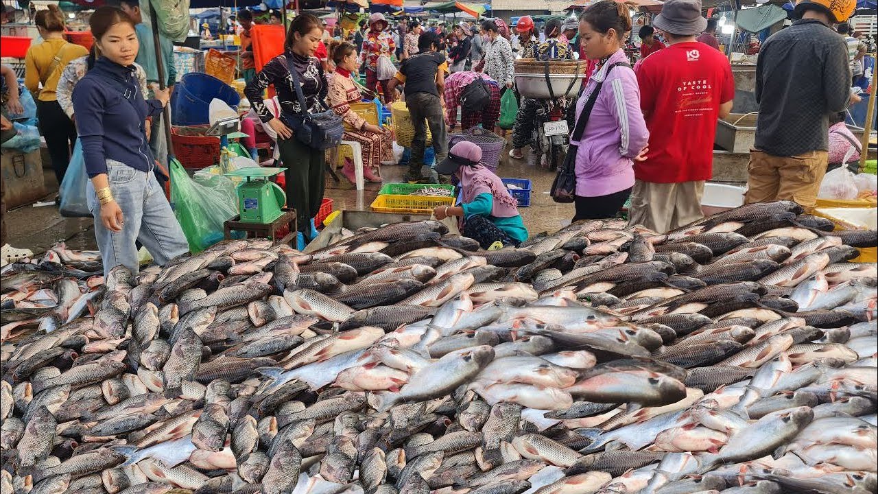 Cambodian Lively Market View, Busiest Market, Biggest Fish Distribution, Fish Market, Wholesale Fish