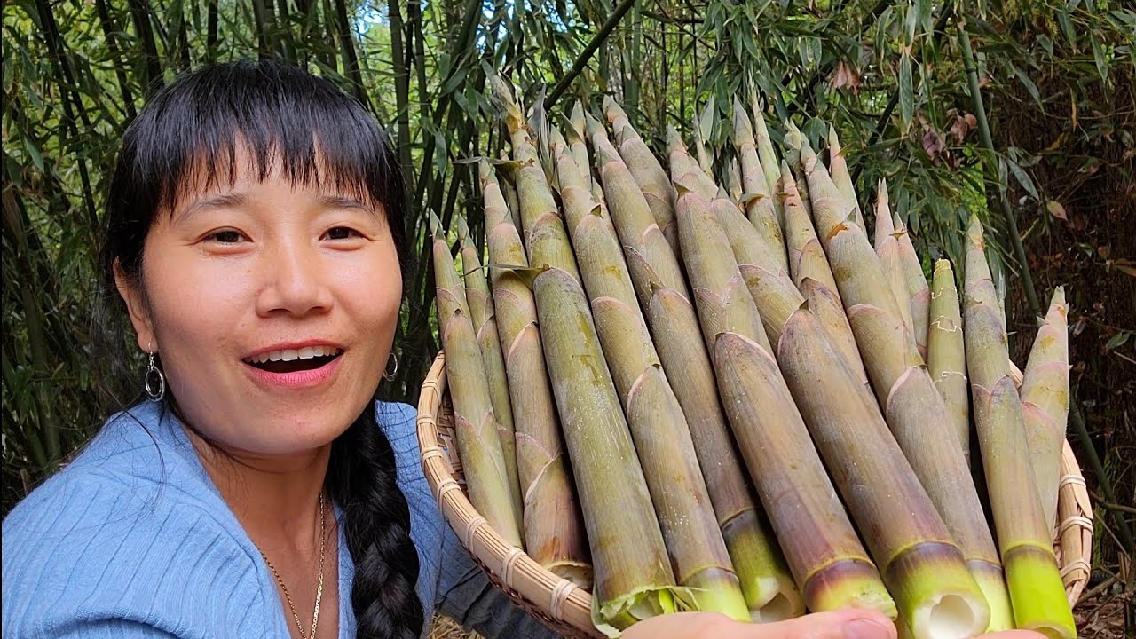 Đi săn măng le được cả rổ thấy ham,tỏi con voi, tỏi đỏ,cải cay
