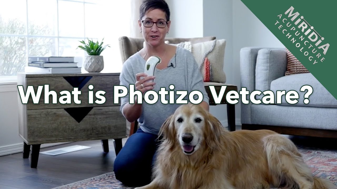 What is Photizo Vetcare Light Therapy?