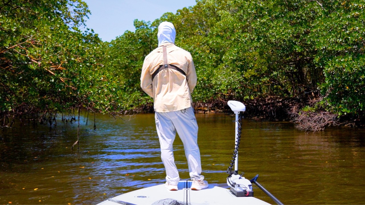 Catching BIG FISH in the Everglades Jungle