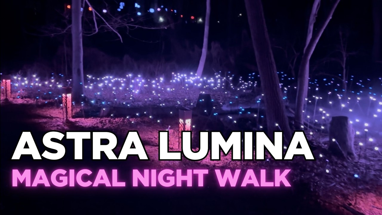 Magical Light Show at Astra Lumina Philadelphia