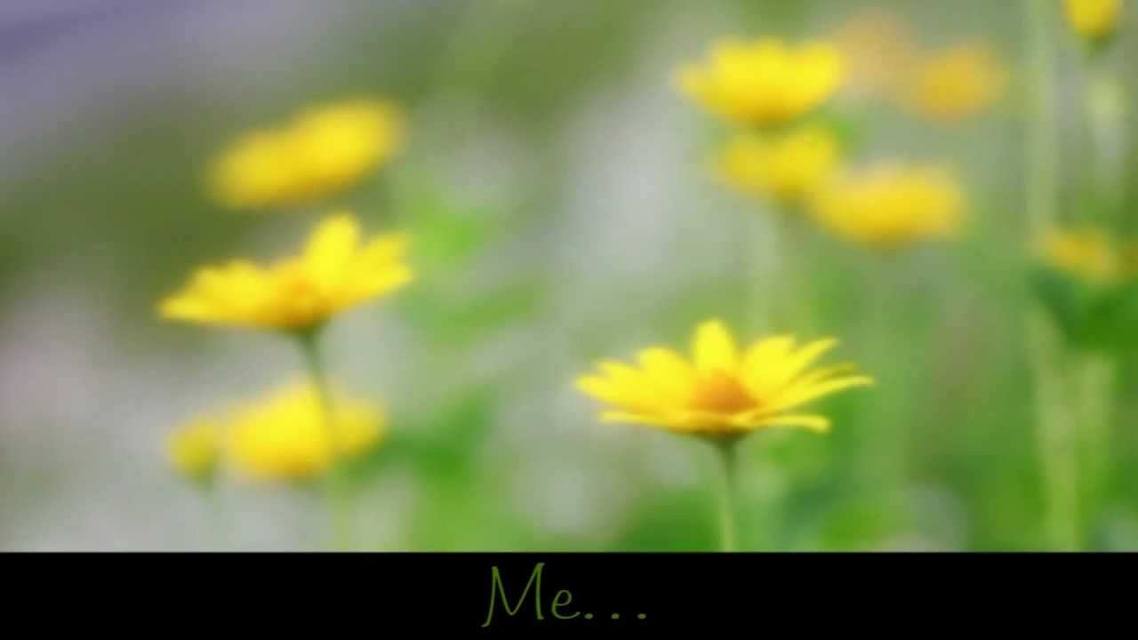 His Eye is on the Sparrow ~ Piano By: Dino Kartsonakis ~ Lyrics