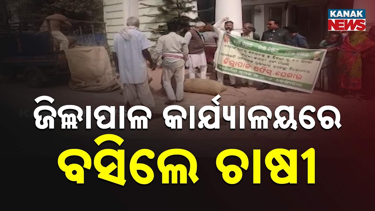 Farmers Stage Protest Inside Dhenkanal Collectorate | Paddy Bags Placed In Office Veranda