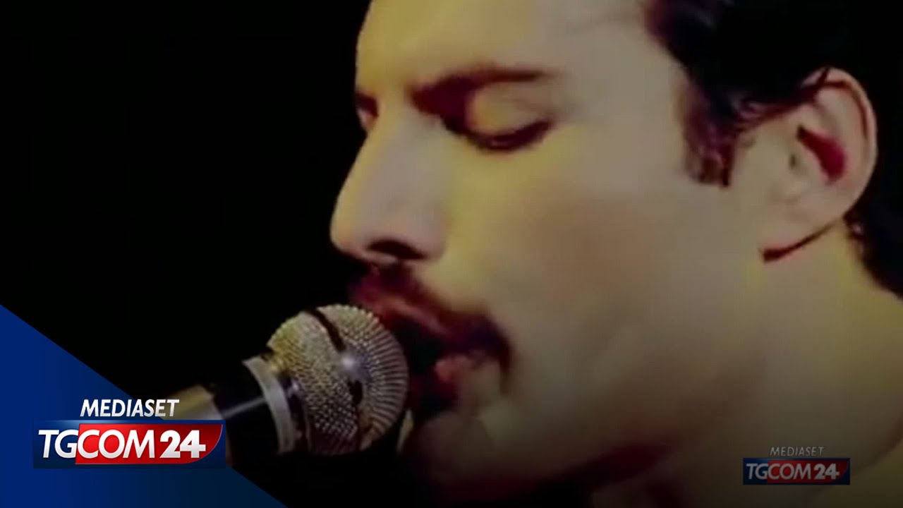Freddie Mercury, spunta una presunta figlia segreta