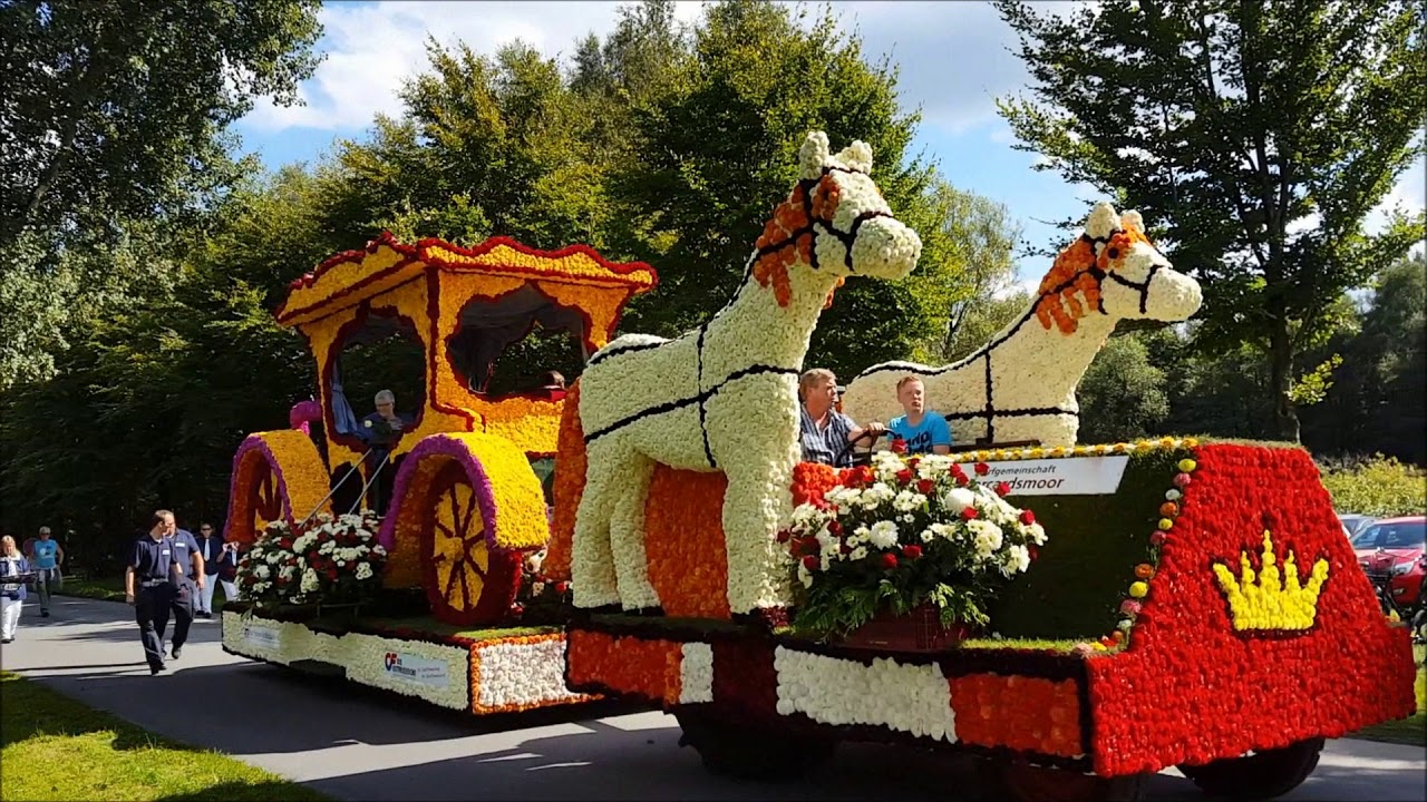 Blütenfest Wiesmoor 2017 - Blütenkorso