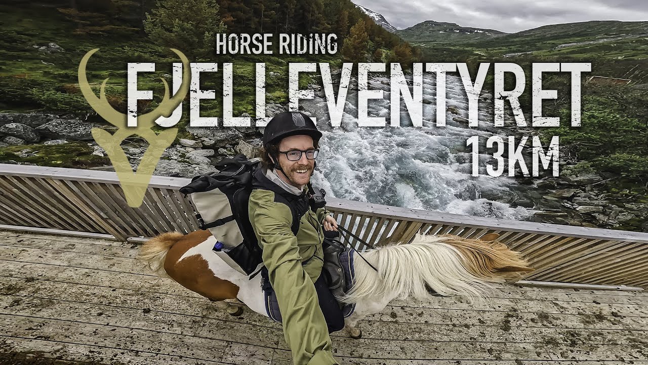 Fjelleventyret - A 13km Horse Riding Experience