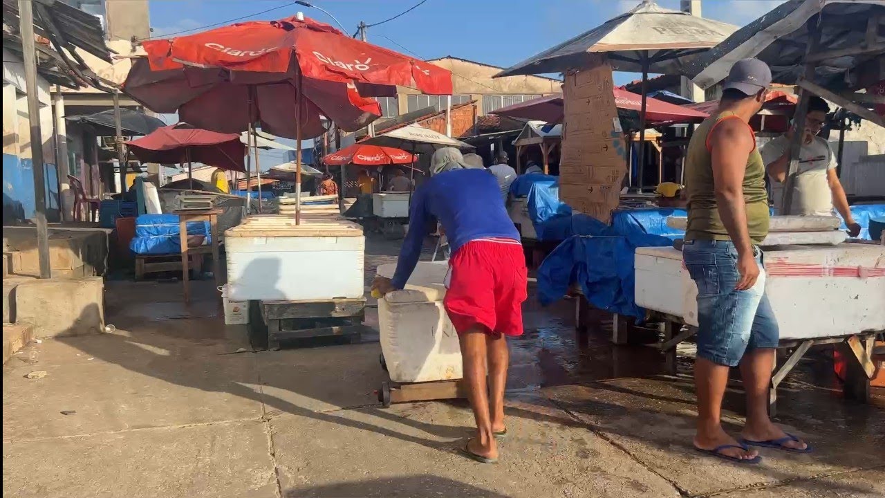 CONHEÇA A FEIRA DE PEIXES DE RAPOSA COM O TÁ LEGAL AVENTURA.