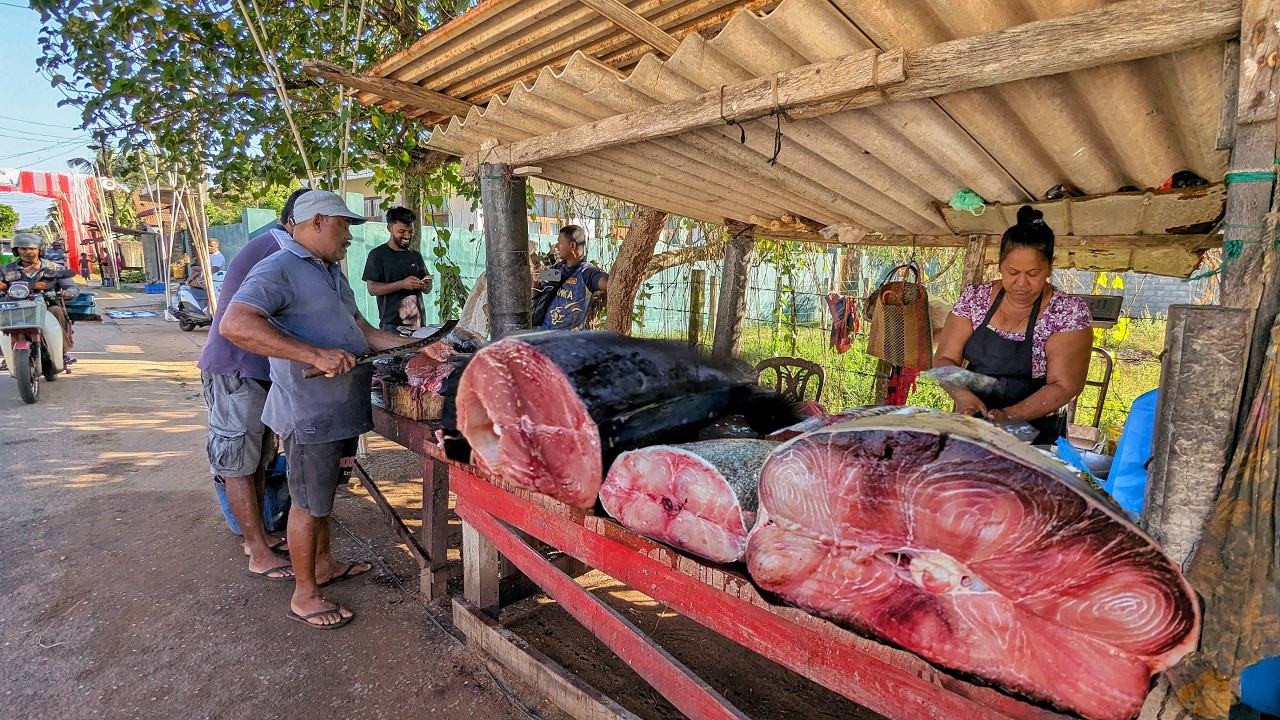 Unbelievable! 50KG Giant Monster Fish Cutting 🔪 Amazing Village Knife Skills