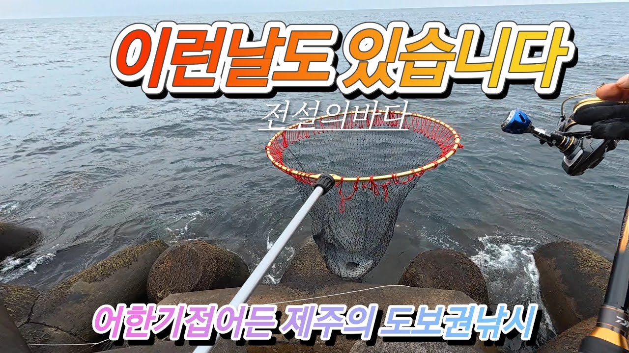 어한기에접어든 제주바다는또다른기회의바다.