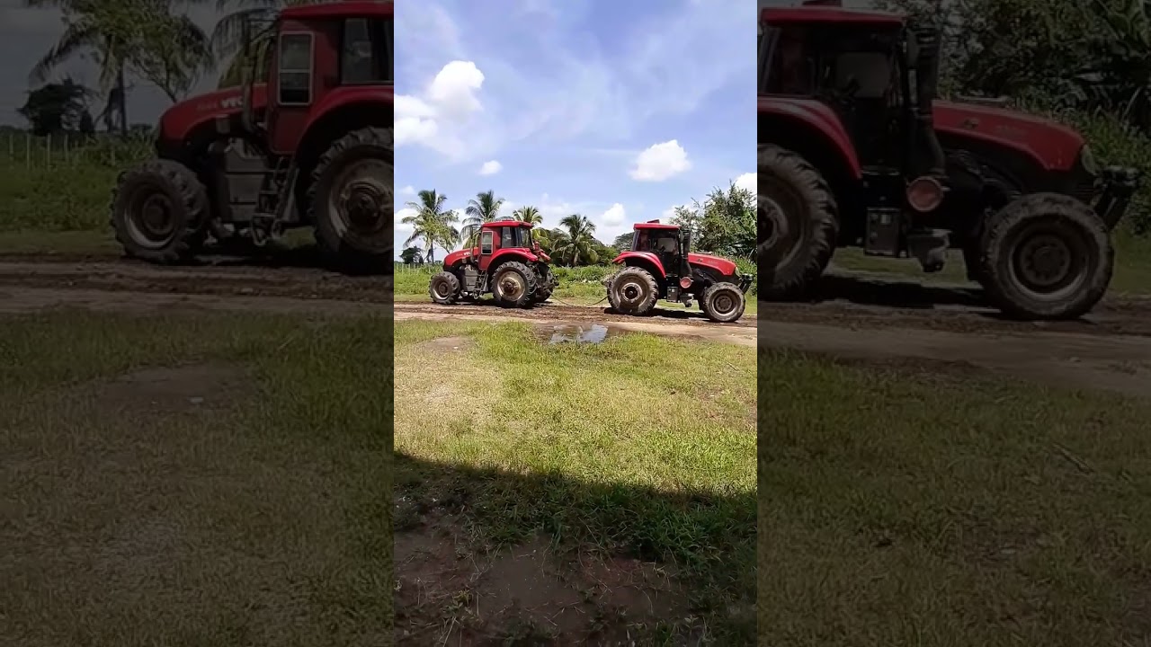 Regateos de tractores YTO 1604 unas m&aacute;quinas muy fuertes 💪
