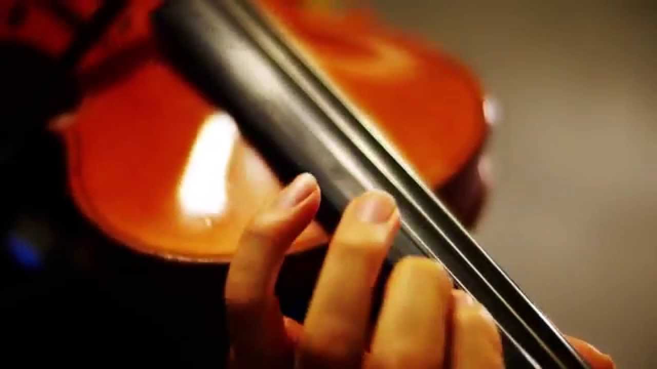 Huh? Oh that's right.（え？あぁ、そう。）-Hatsune Miku（Violin Cover)