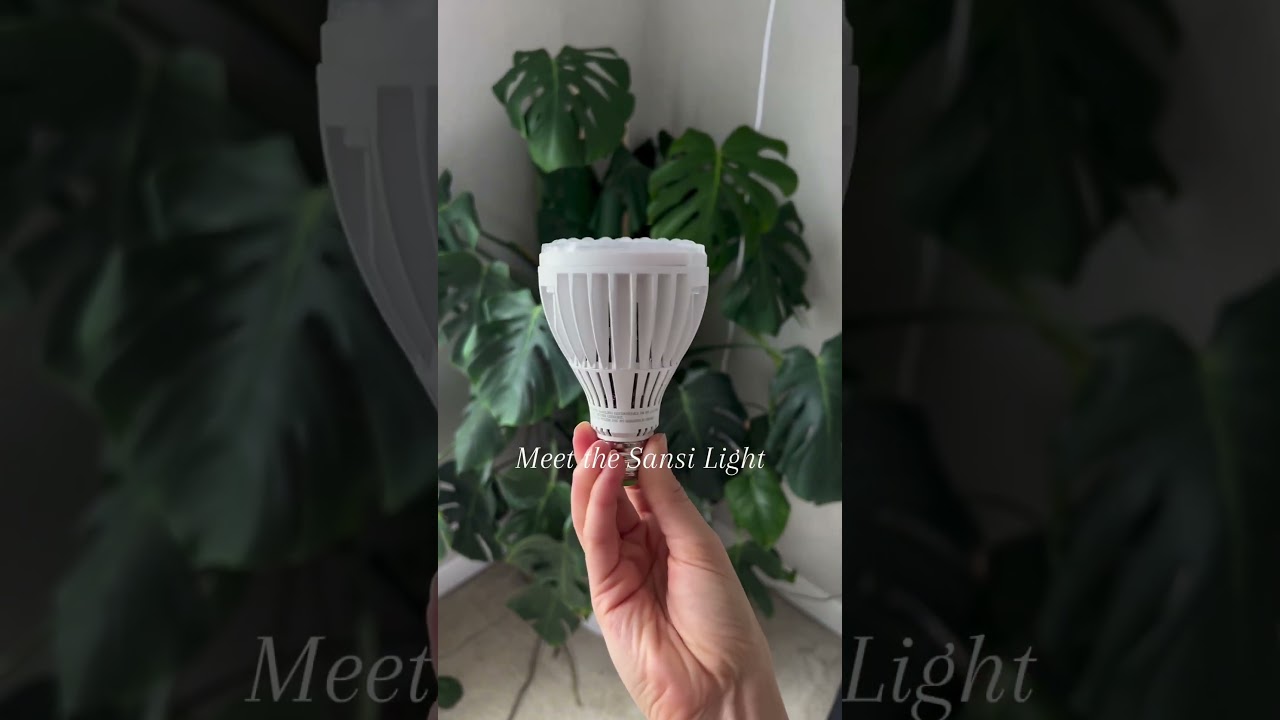 Plant Grow Lights for the Corner！💡