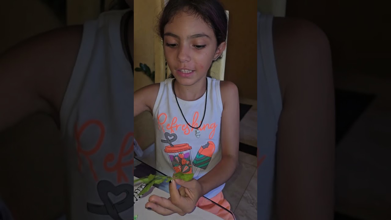Bora conhecer as ranhuras das plantas?!