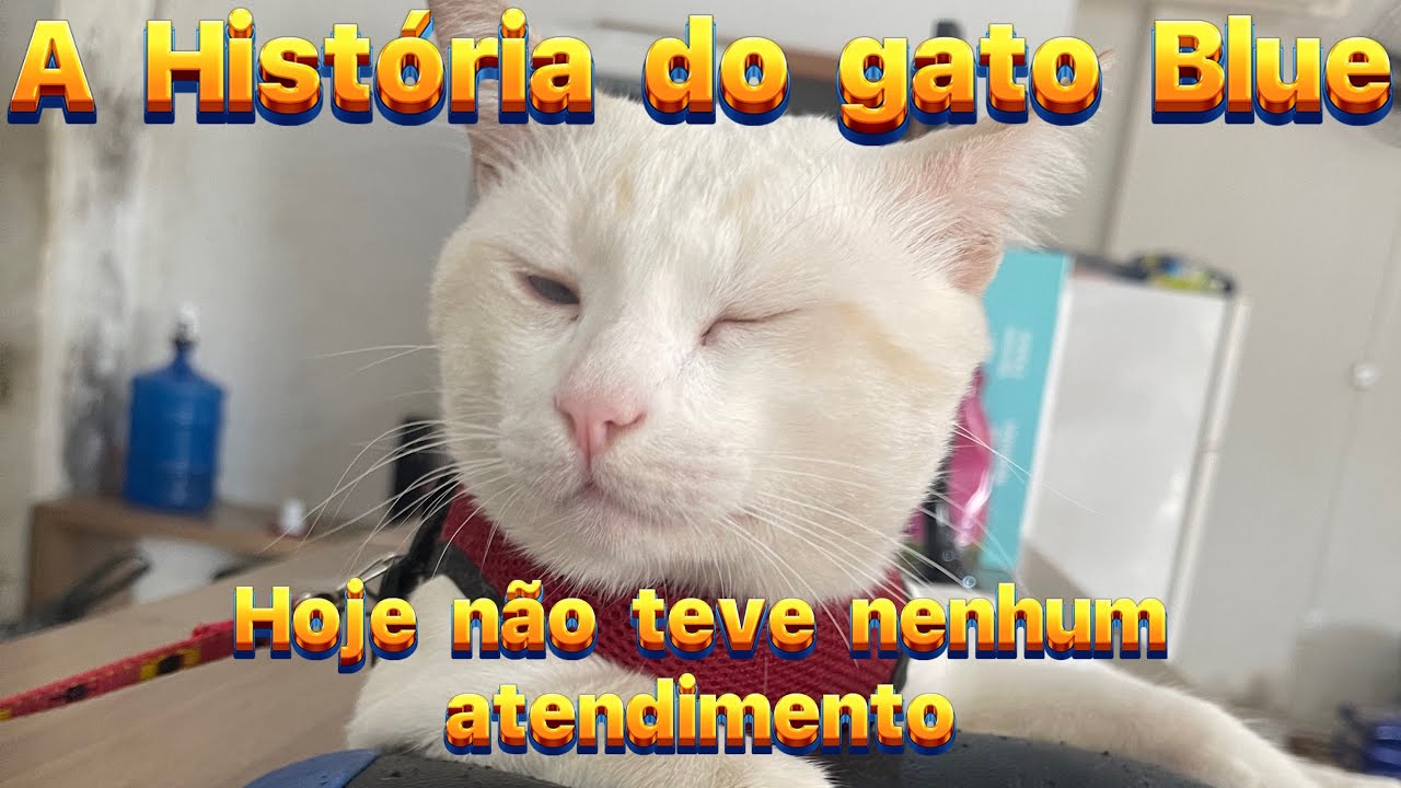 Muita gente querendo saber. Contei nesse video