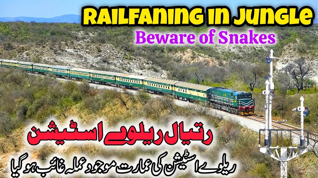 Exploring the Abandoned Ratial Railway Station: A Hidden Gem in the Jungle | Railfan Adventure