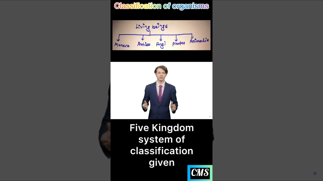 Classification of living beings | 