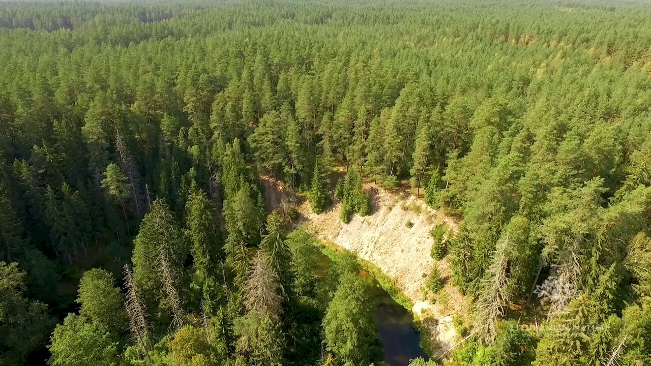 Mančiagirės skardžiai