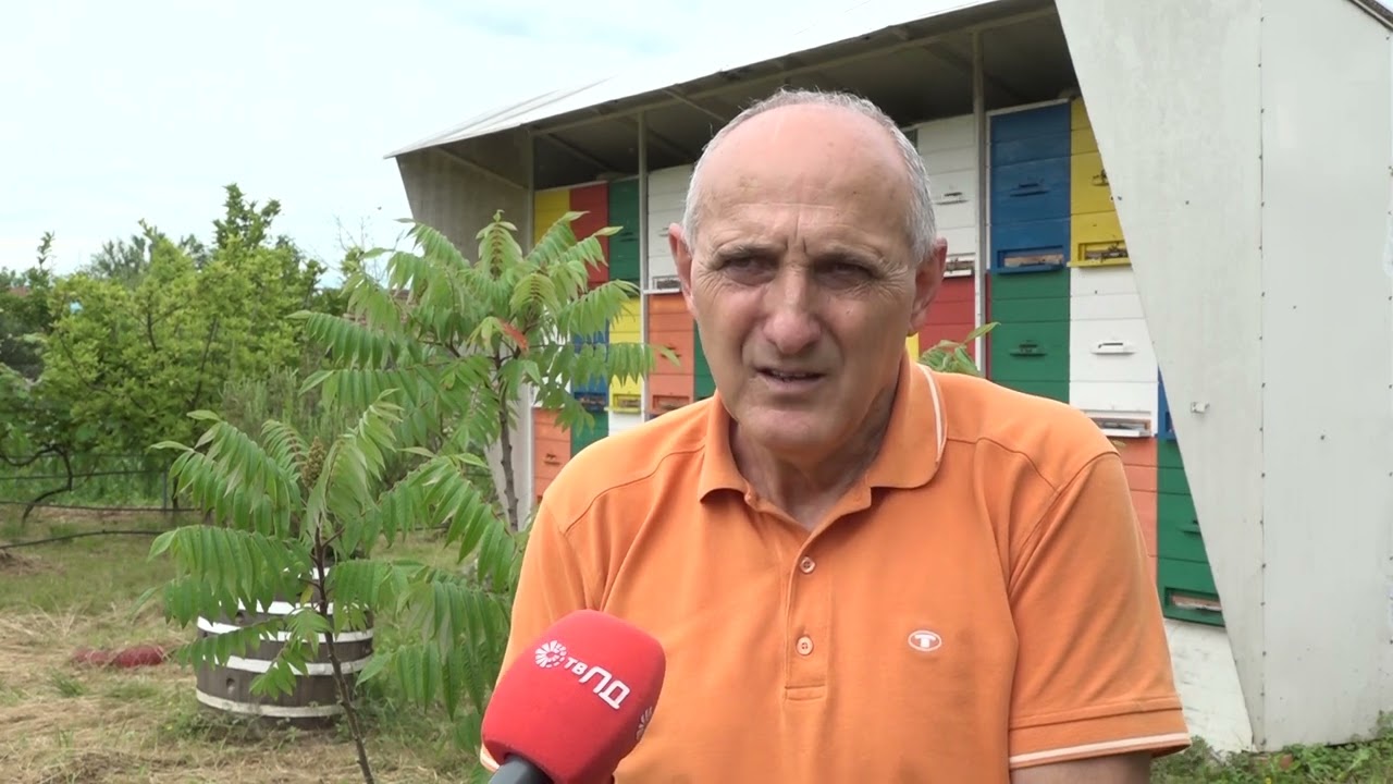 RANA BAGREMOVA PAŠA PČELARIMA DONIJELA PROBLEME