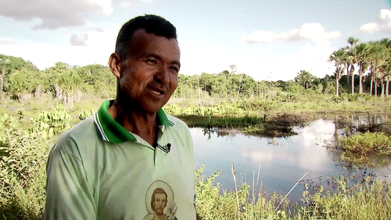 Caminhos da Reportagem | Um gole de cerrado