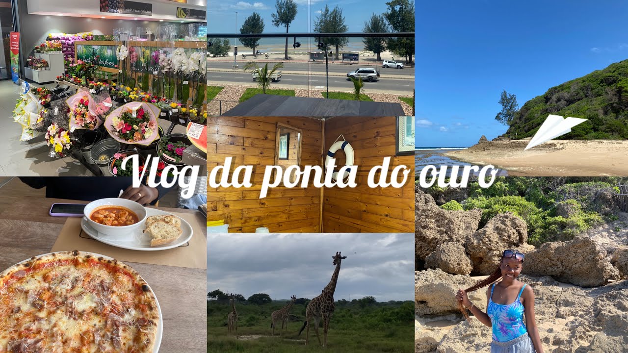 My life diary: Surfei pela primeira vez !!!