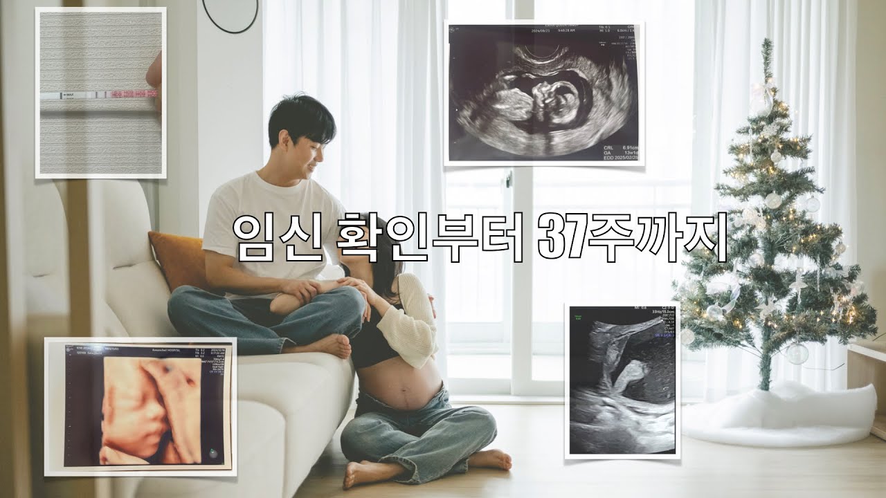 임신 확인부터 37주까지 (#임밍아웃, #젤리곰, #입체초음파, #태교여행)
