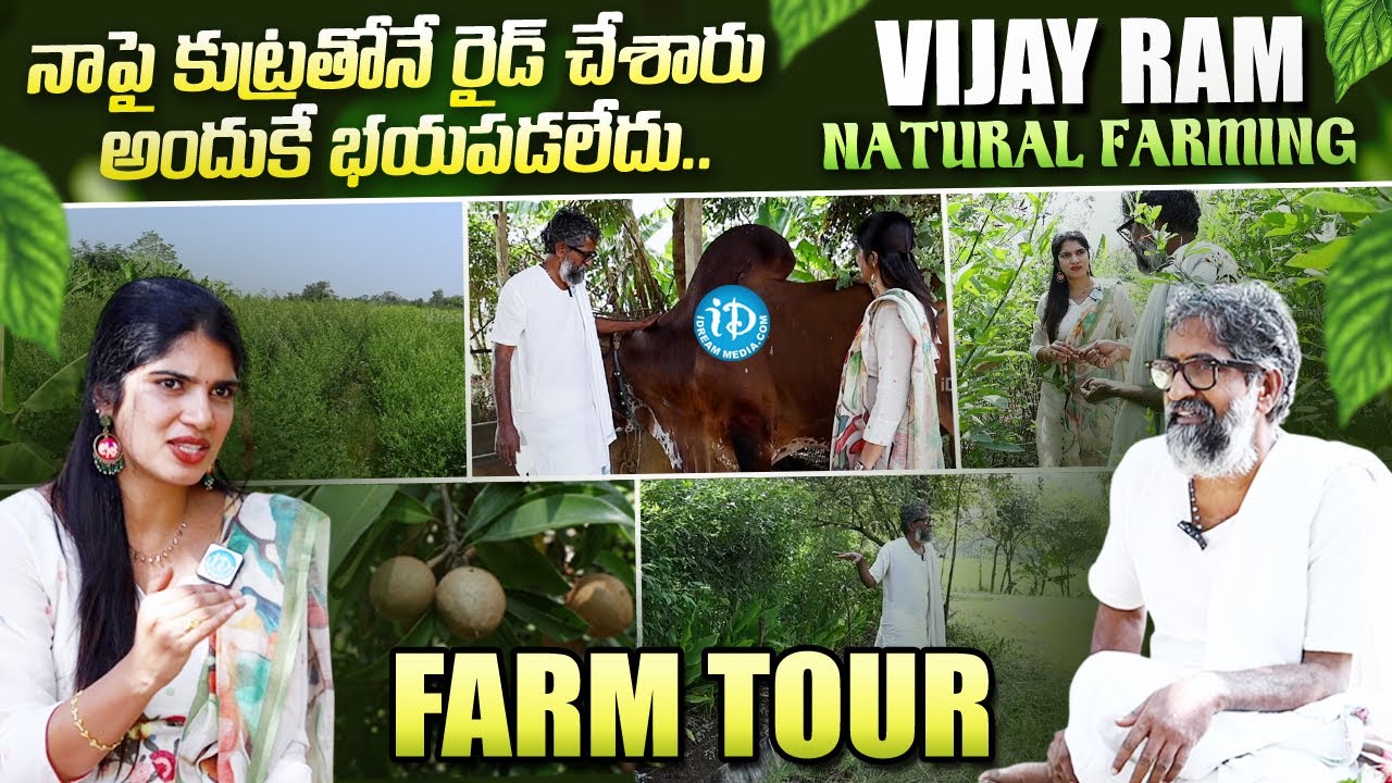 Vijay Ram Natural Farming Farm Tour | Natural Farming | iDream Media