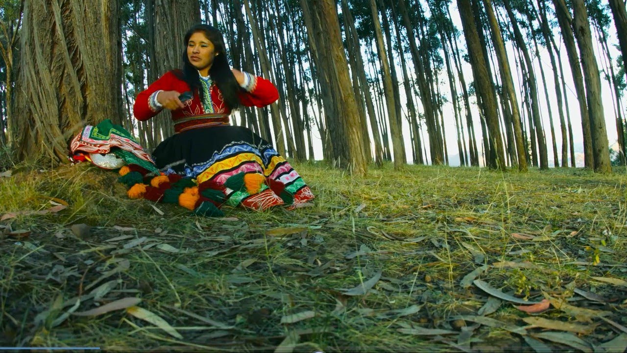 PRESENCIA ANDINA-ERES MIA