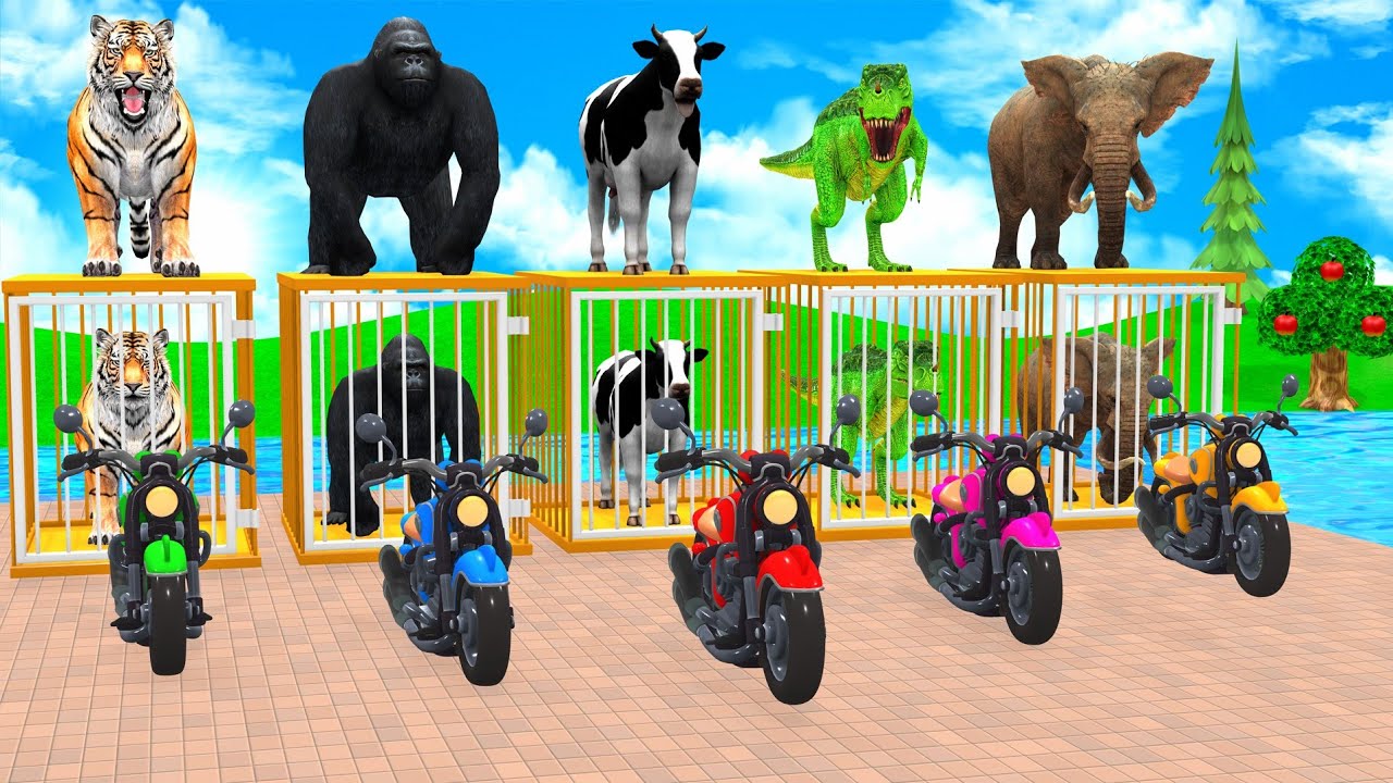 Funny Animal Physics on Long Slide - 3D Animal Game